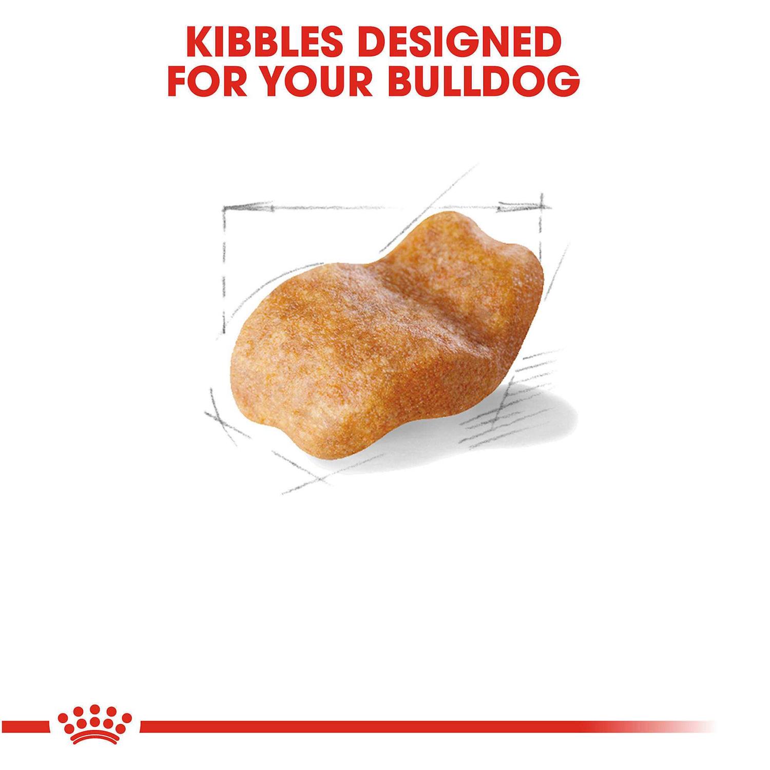 Royal Canin Breed Health Nutrition Bulldog Adult Dry Dog Food - Nail Gallerys