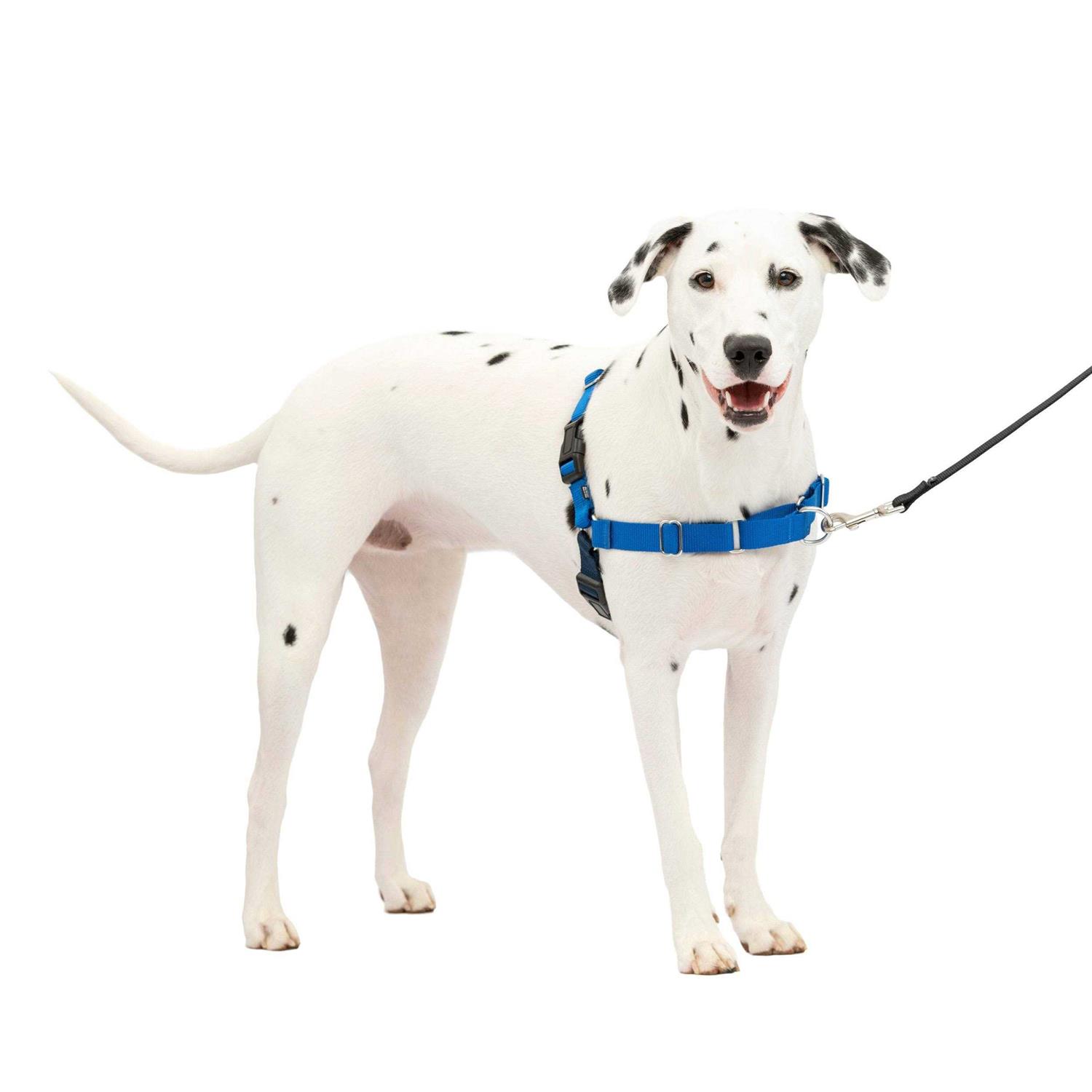 PetSafe Easy Walk Dog Harness - Nail Gallerys
