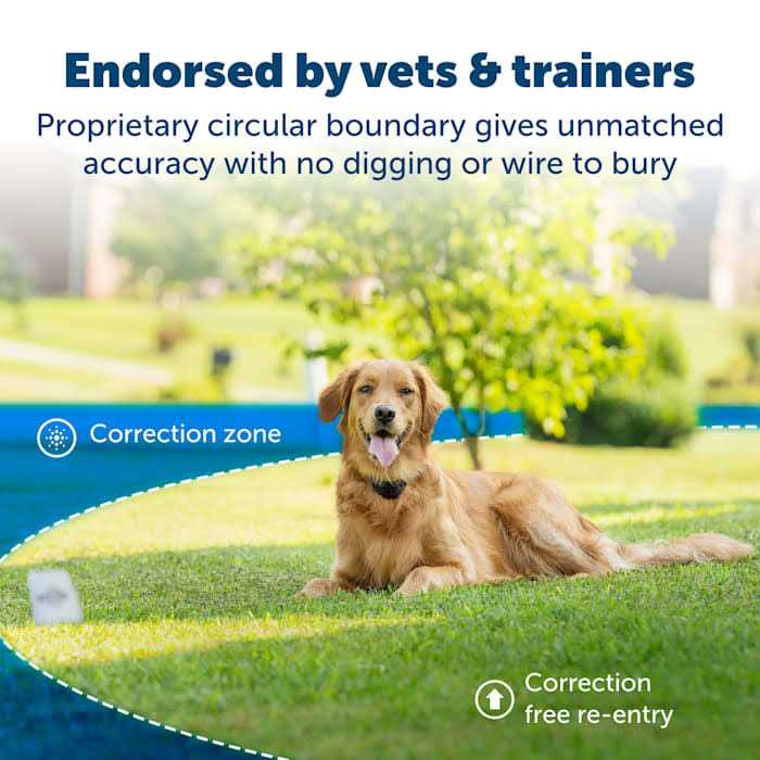 PetSafe Stay and Play Wireless Fence with Replaceable Battery Collar - Nail Gallerys