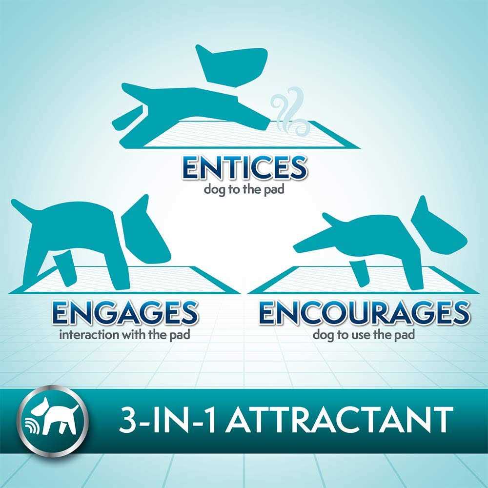 Simple Solution Dog Training Pads - Nail Gallerys