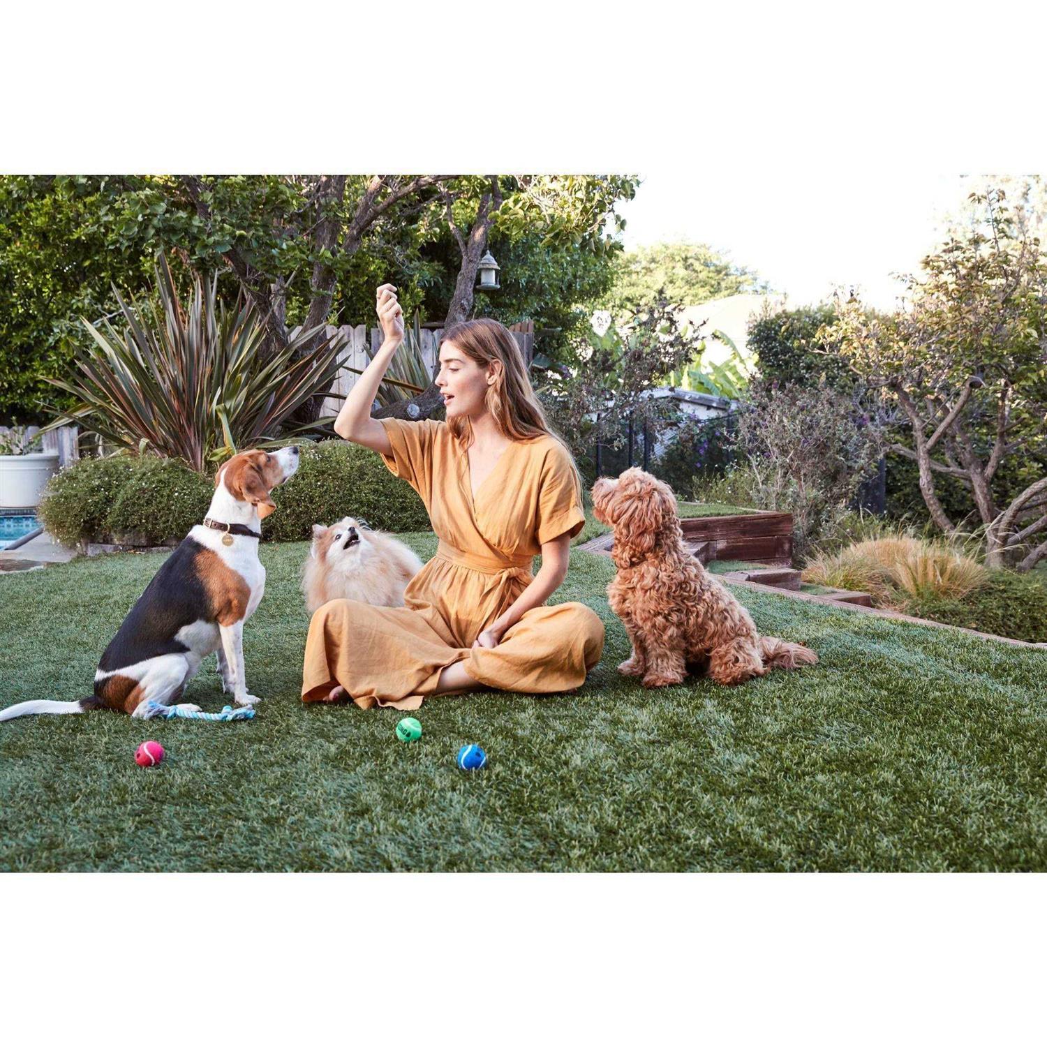 Full Moon Chicken Recipe Savory Sticks Dog Treats - Nail Gallerys