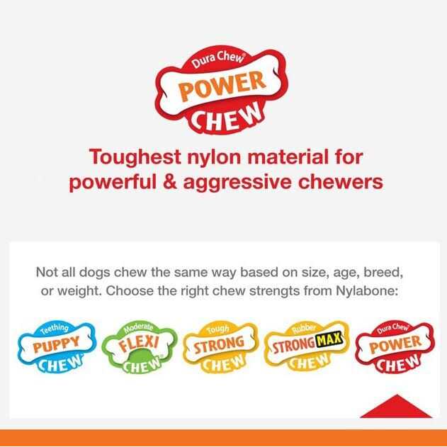 Nylabone Power Chew Customer Favorites Dog Chew Toys Bundle - Nail Gallerys