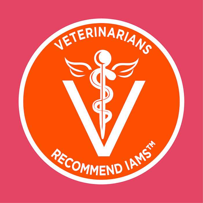 Iams Proactive Health Salmon Adult Dry Cat Food - Nail Gallerys