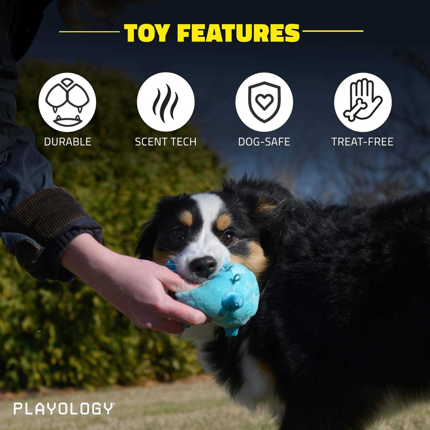 Playology Puppy Sensory Ball Dog Toy - Nail Gallerys