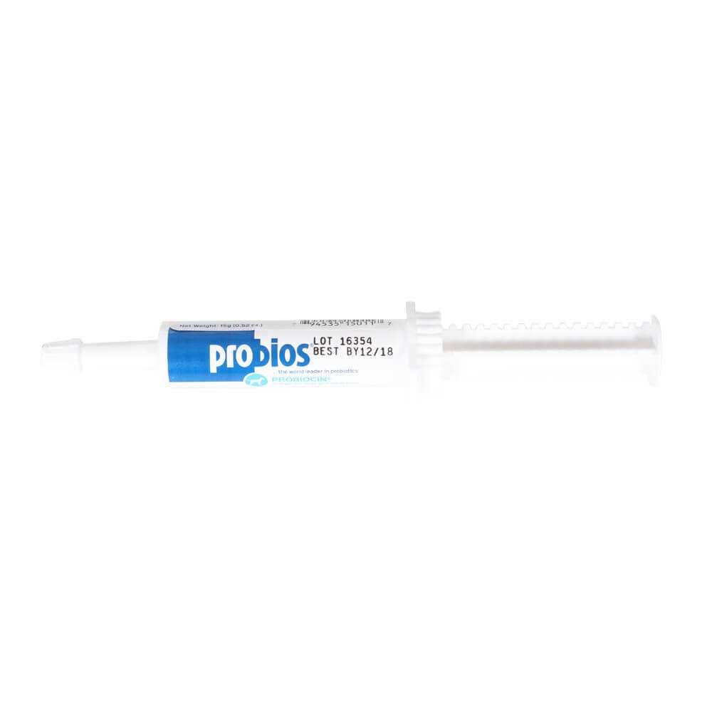 Probiocin Oral Gel for Pets - Nail Gallerys