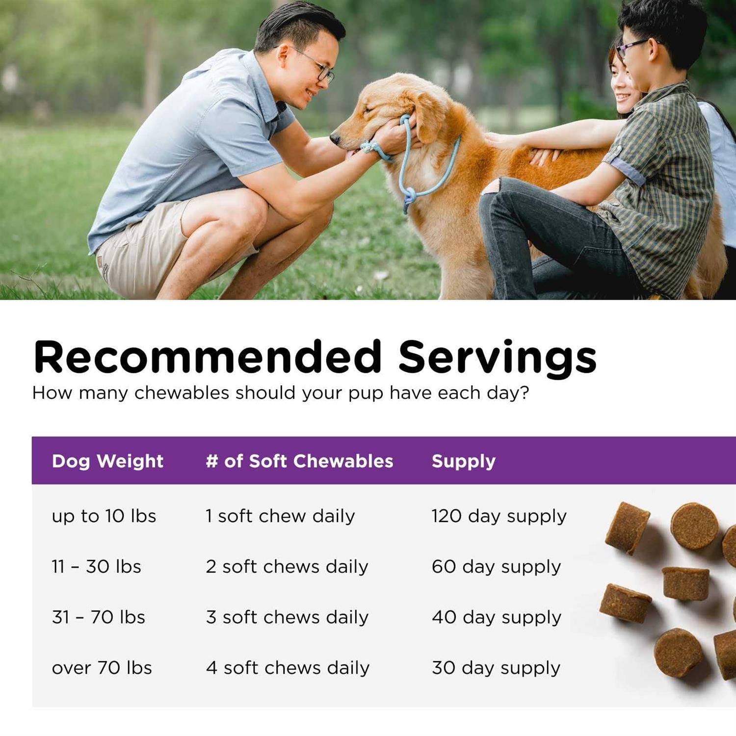 Nutri-Vet Pre and Probiotic Soft Chews for Dogs - Nail Gallerys