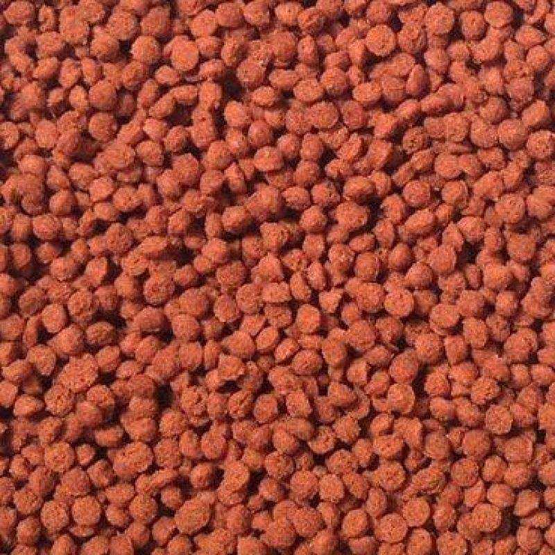 Omega One Super Color Large Sinking Cichlid Pellets - Nail Gallerys