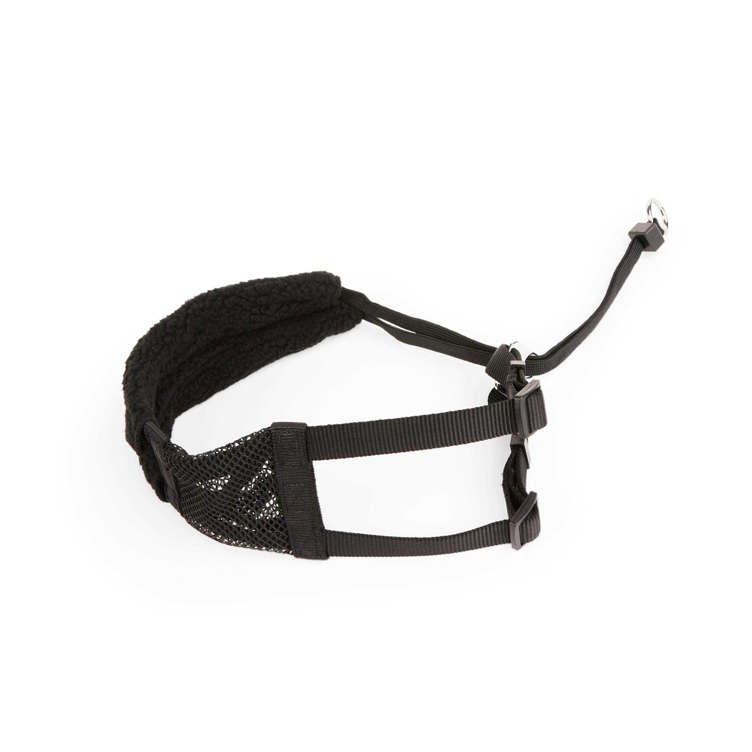 EveryYay Embrace The Pace Black No Pull Dog Harness - Nail Gallerys