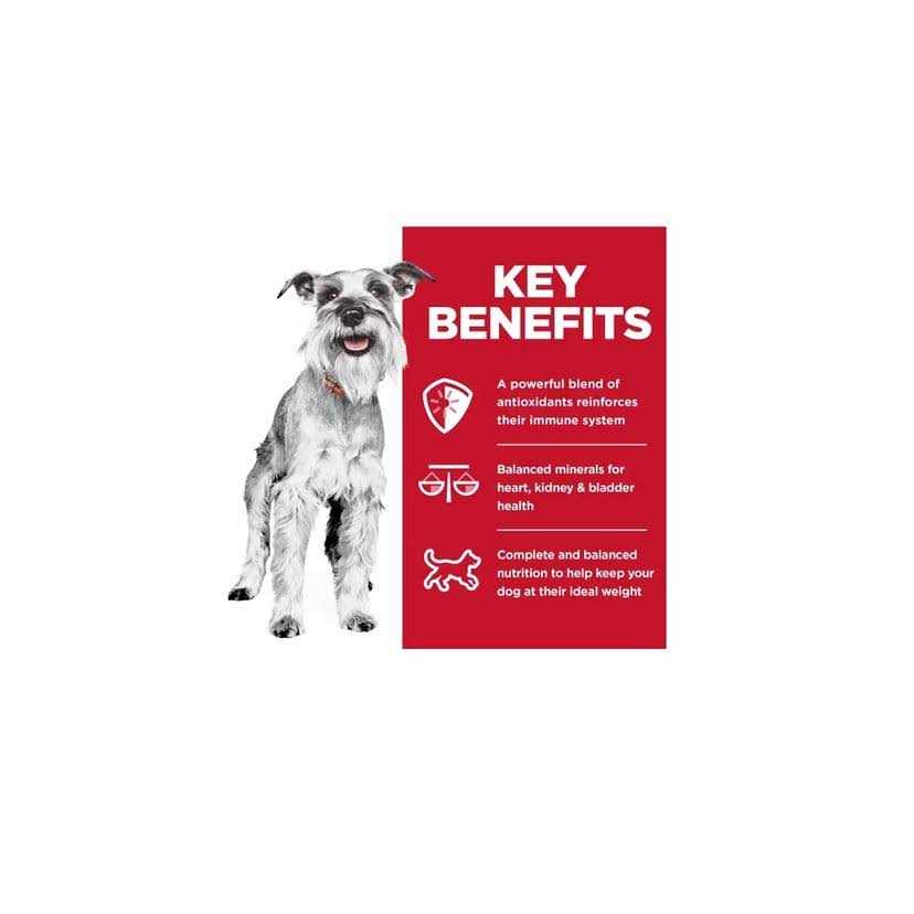 Hill’s Science Diet Adult 7+ Small Paws Chicken & Barley Entree Dog Food - Nail Gallerys