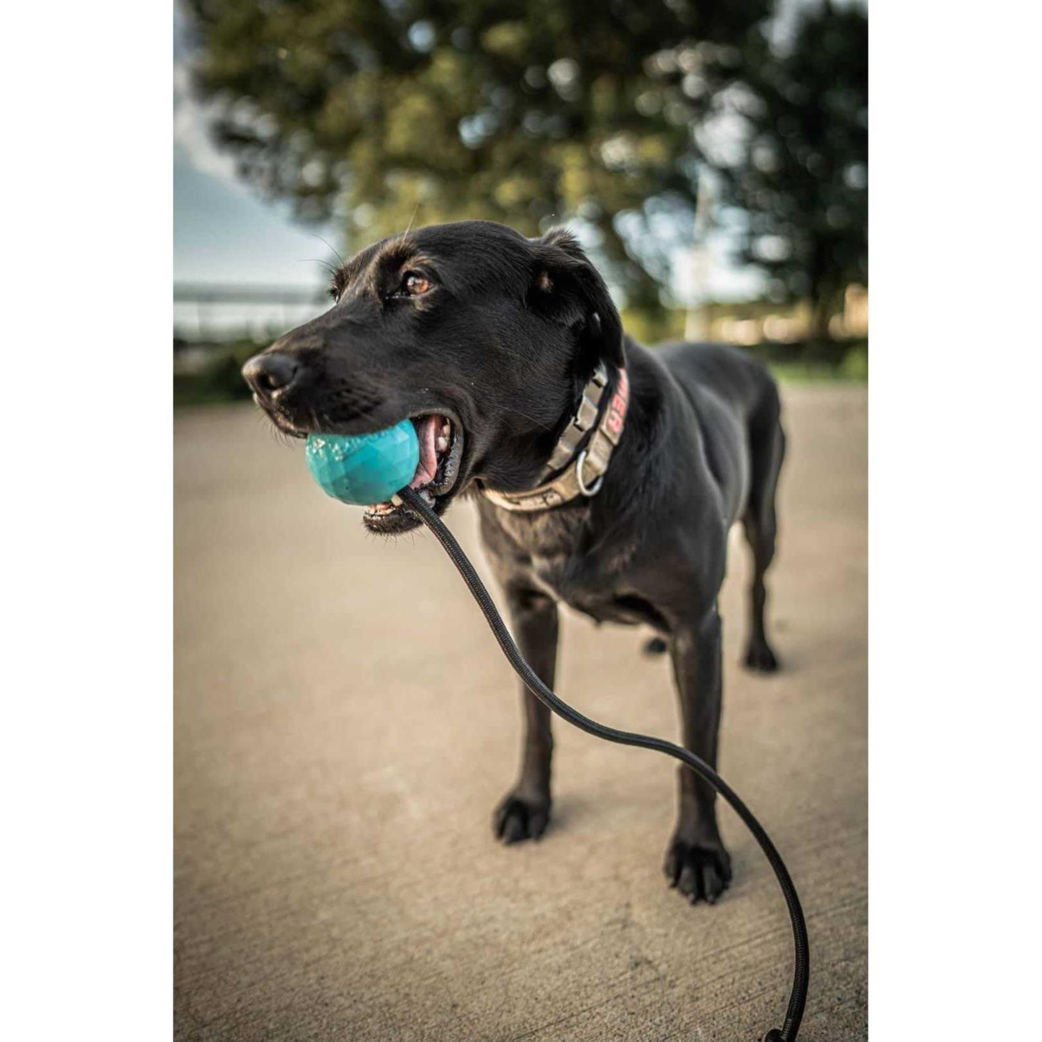 K9 Ops Dog Ball on a Rope moki Tug Toy Solid Rubber Fetch Training Reward - Nail Gallerys