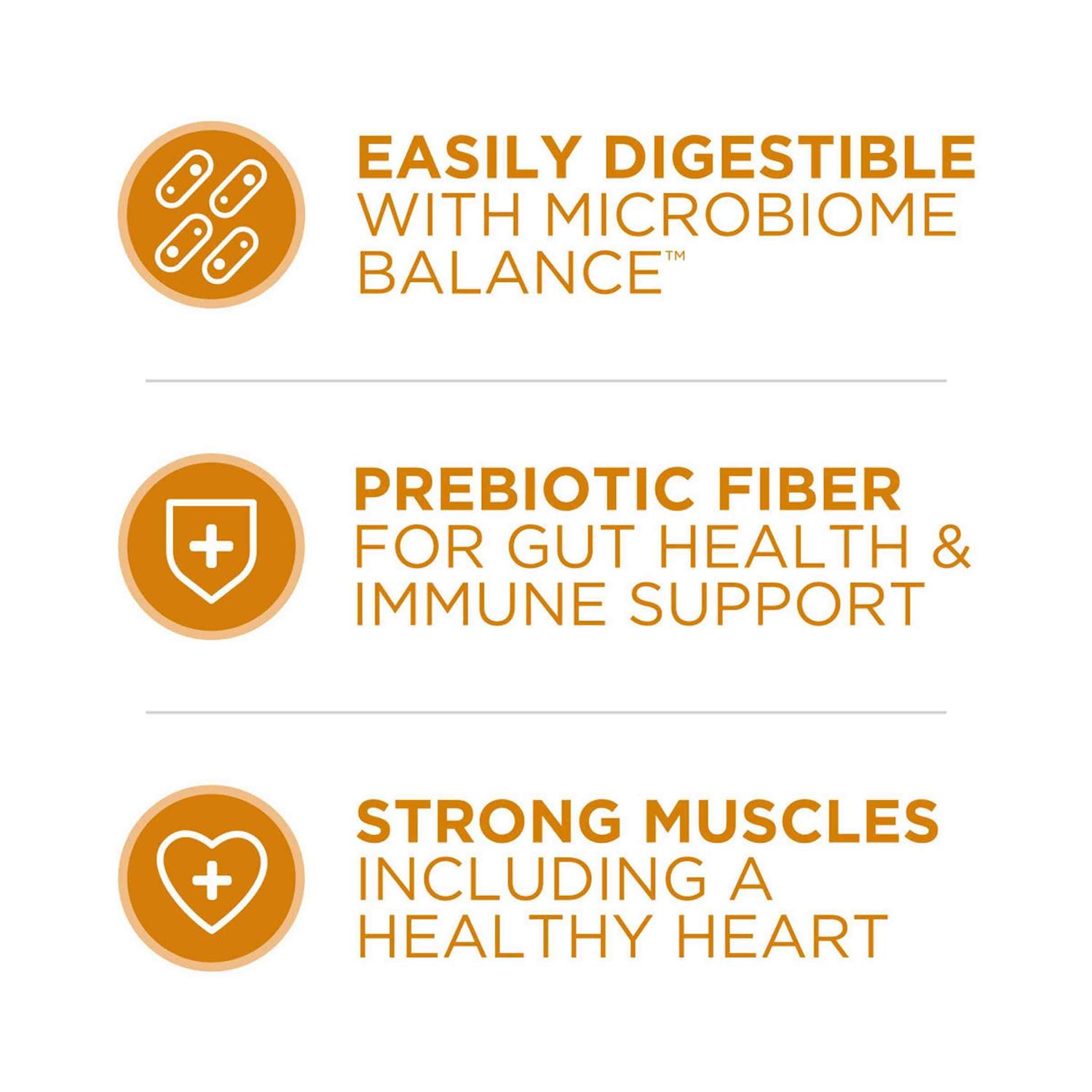 Purina ONE Tender Selects Blend Dry Cat Food With Real Chicken - Nail Gallerys