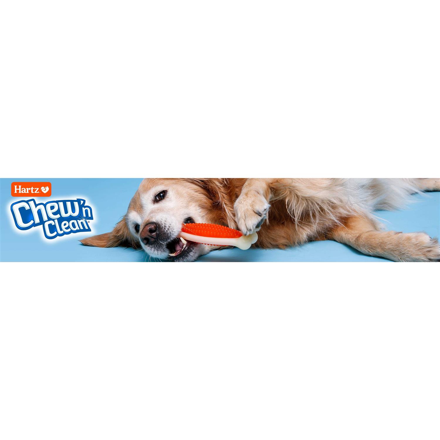 Hartz Chew ‘n Clean Dental Duo Dog Chew Toy Treat - Nail Gallerys