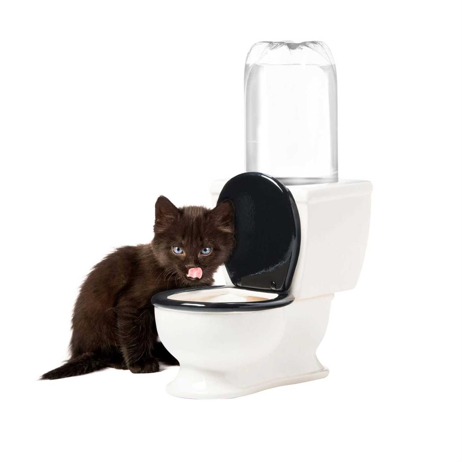 BigMouth Inc. The Toilet Water Dish for Dogs - Nail Gallerys