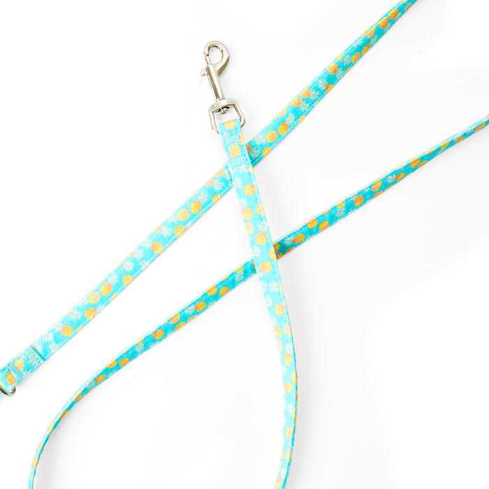 YOULY Small Dog Pineapple Dog Leash - Nail Gallerys