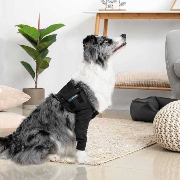 Suitical Dog Recovery Double Sleeves - Nail Gallerys