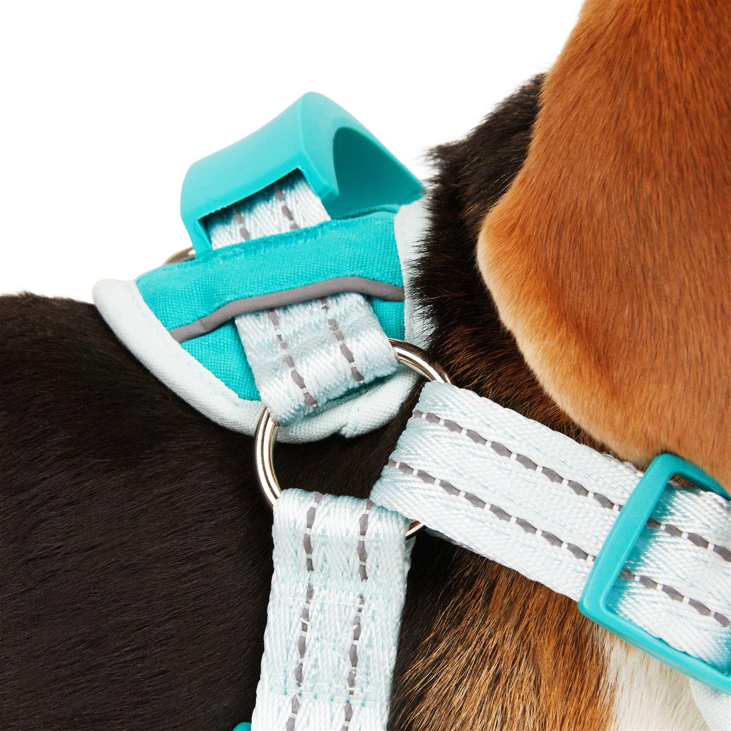EveryYay Easy On Training Dog Harness - Nail Gallerys