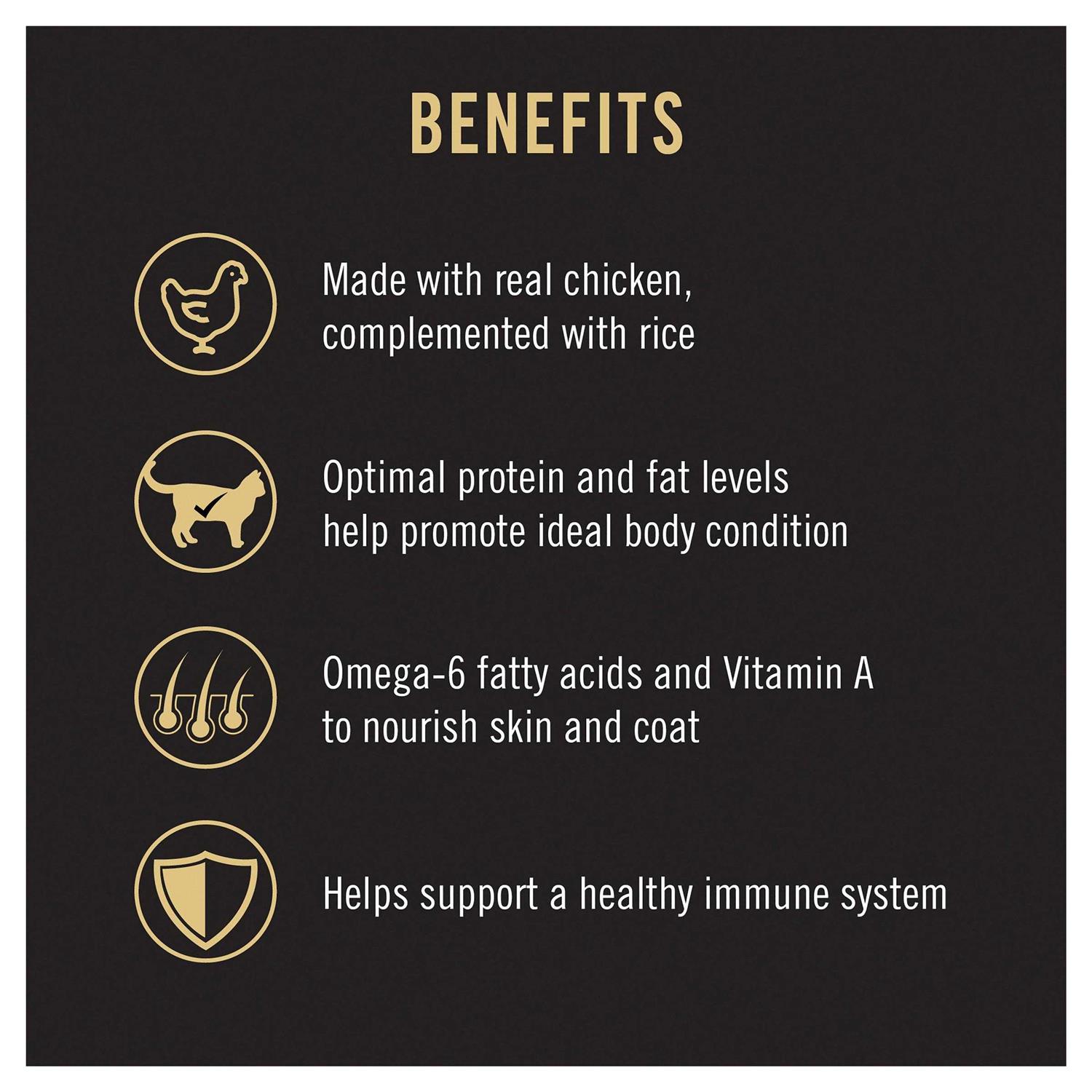 Purina Pro Plan Adult Cat Food Chicken & Rice Entree - Nail Gallerys