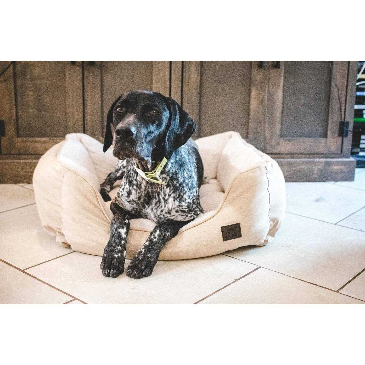 Tall Tails Dream Chaser Bolster Bed - Nail Gallerys