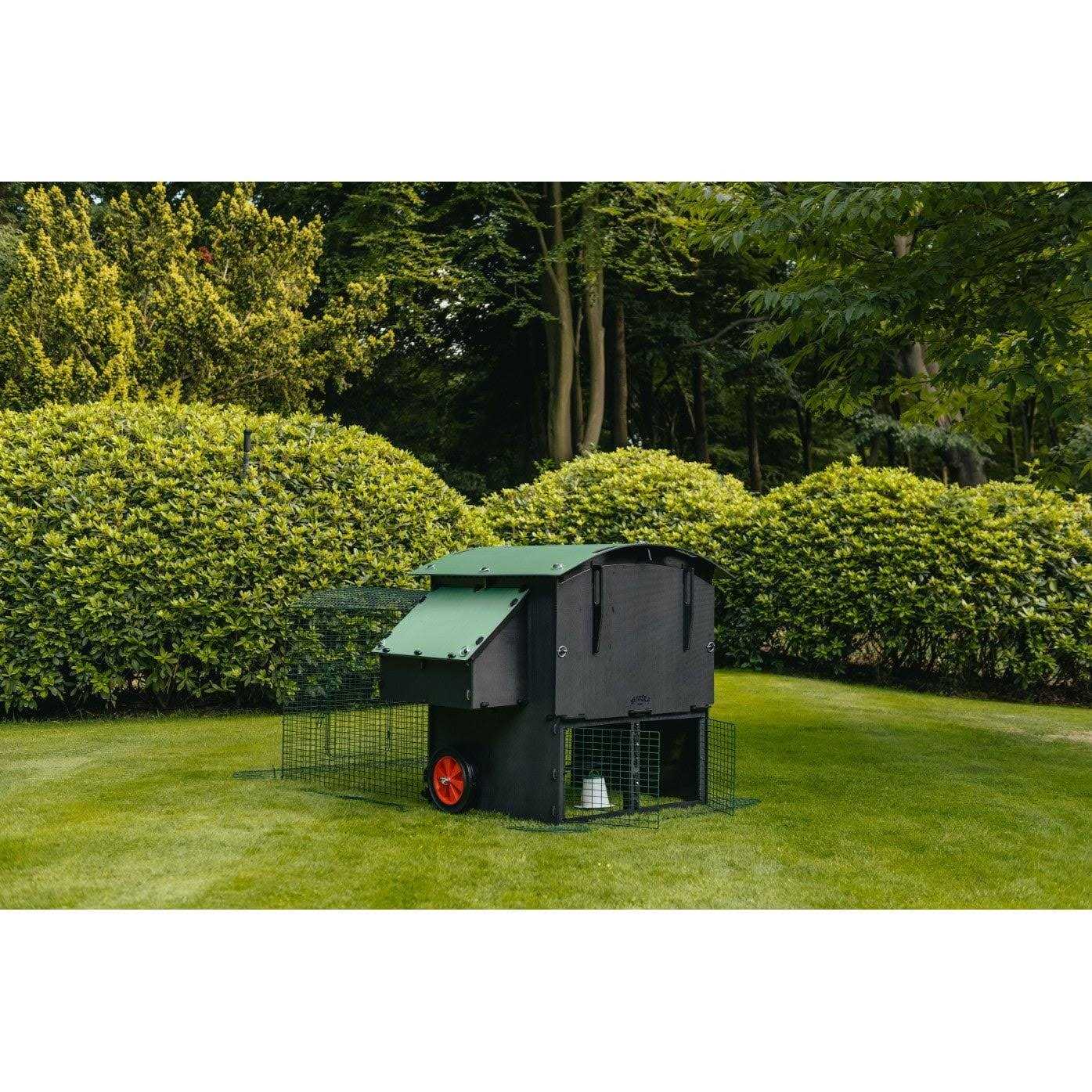 Nestera 6.5ft Run for large raised coop - Nail Gallerys