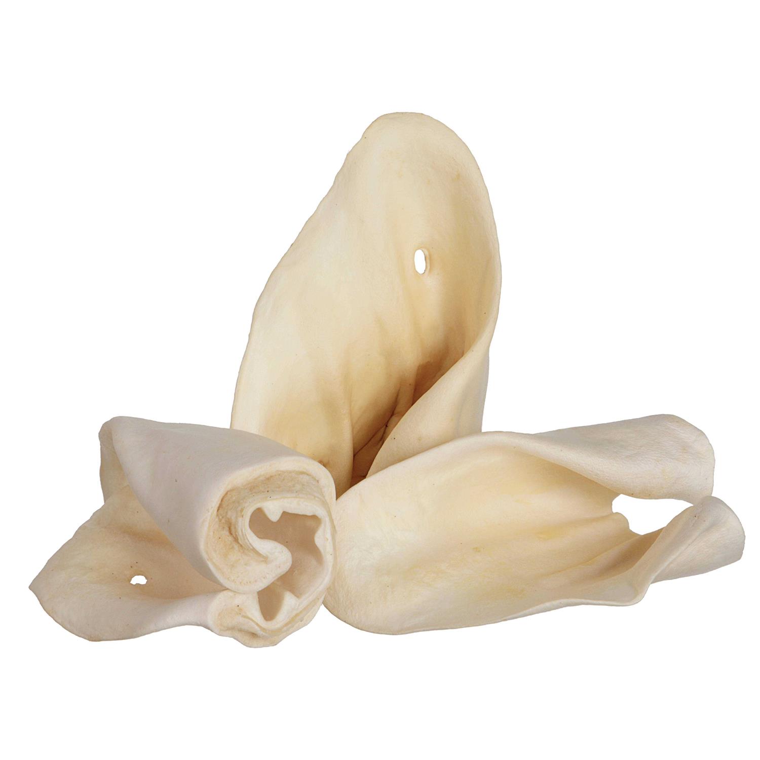 Redbarn Cow Ears - Nail Gallerys