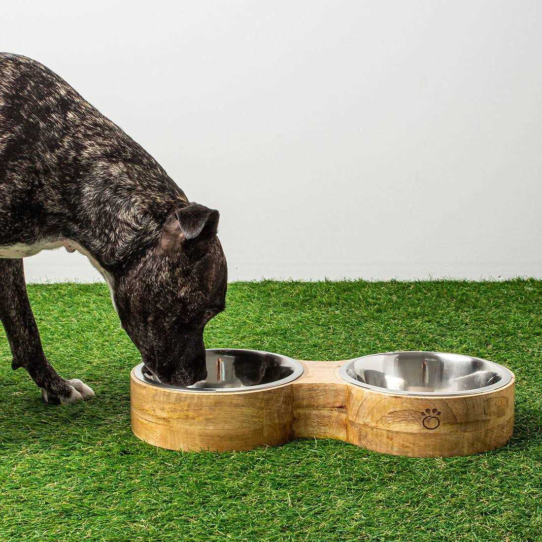 GF Pet Double Diner Wood & Metal Feeder - Nail Gallerys