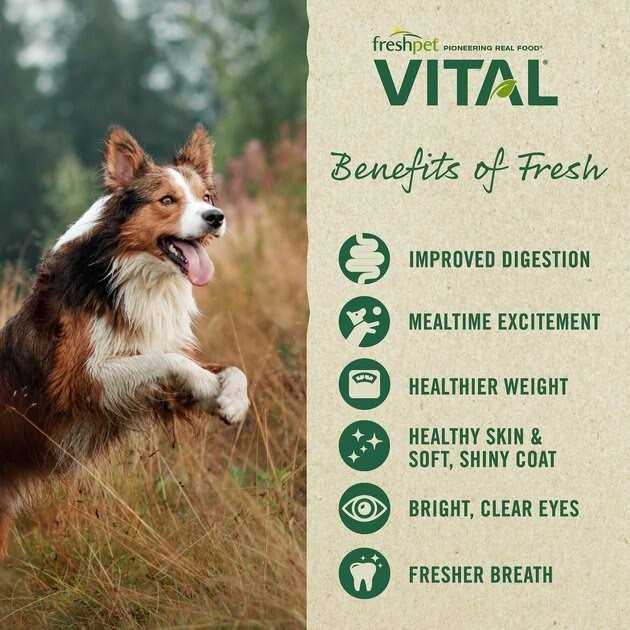 Freshpet Vital Complete Meals Grain-Free Chicken Fresh Small Breed Dog Food - Nail Gallerys