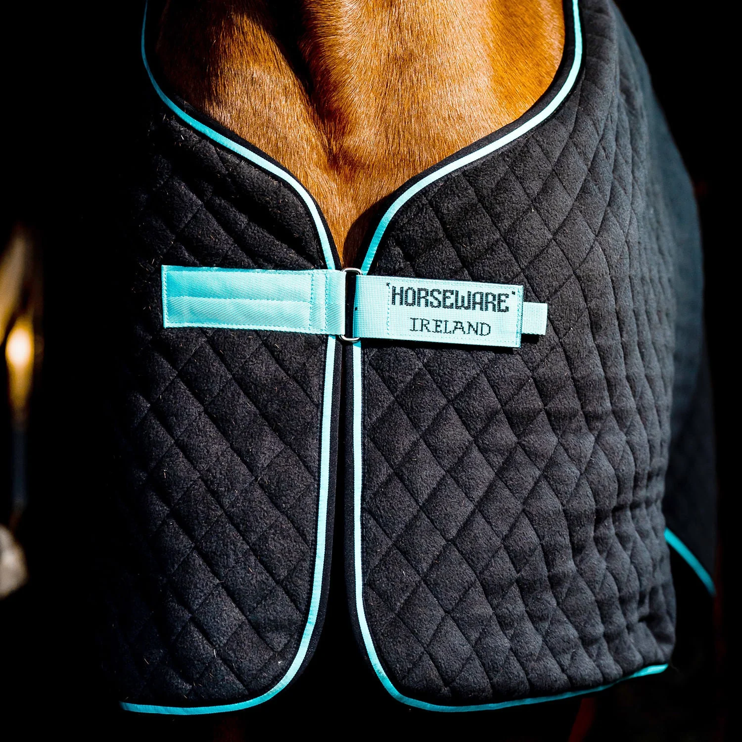 Horseware Autumn Cooler, Black/Aqua - Nail Gallerys