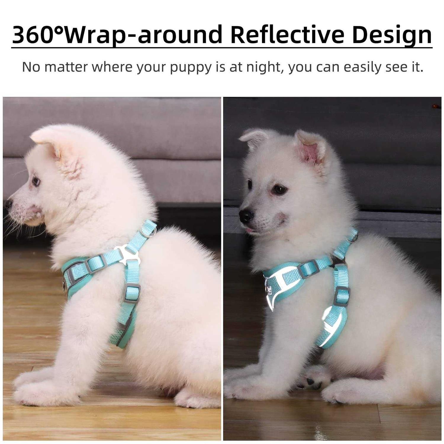 rennaio Dog Harness No Pull, Adjustable Puppy Harness with 2 Leash Clips, Ultra Padded Dog Vest Harness, Reflective Dog Harness and Leash - Nail Gallerys