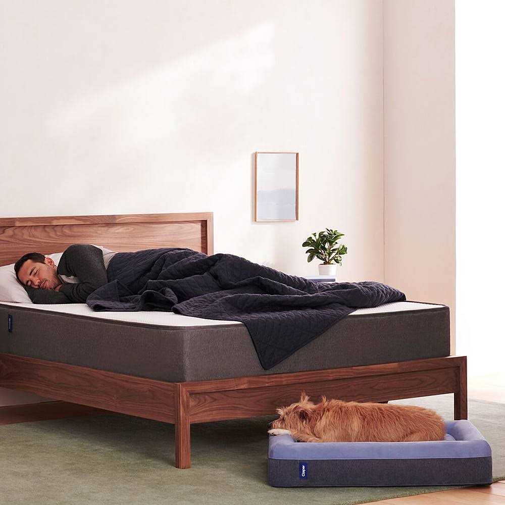 Casper Dog Bed - Nail Gallerys