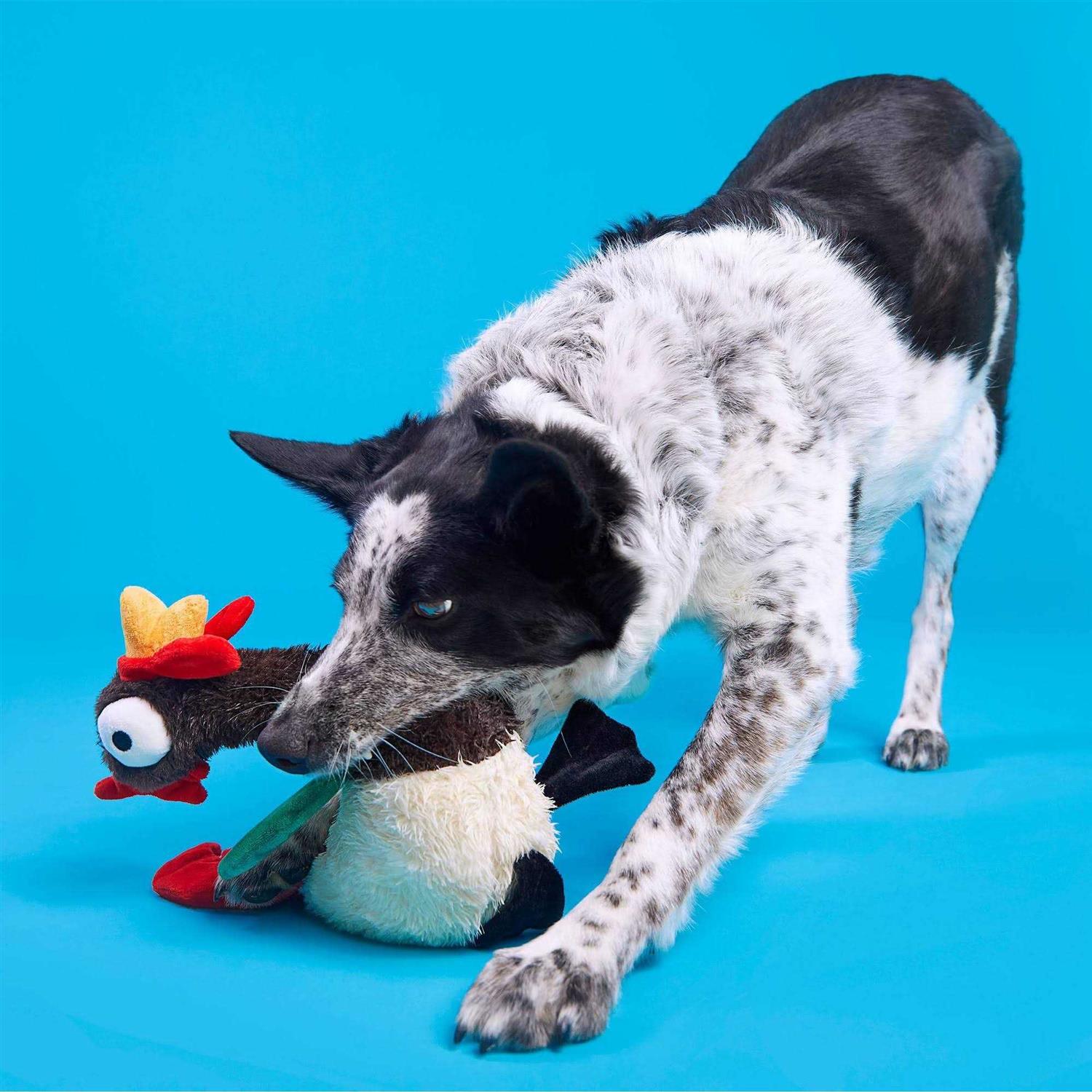 Bark Cock-a-Doodle-Chew Dog Toy - Nail Gallerys