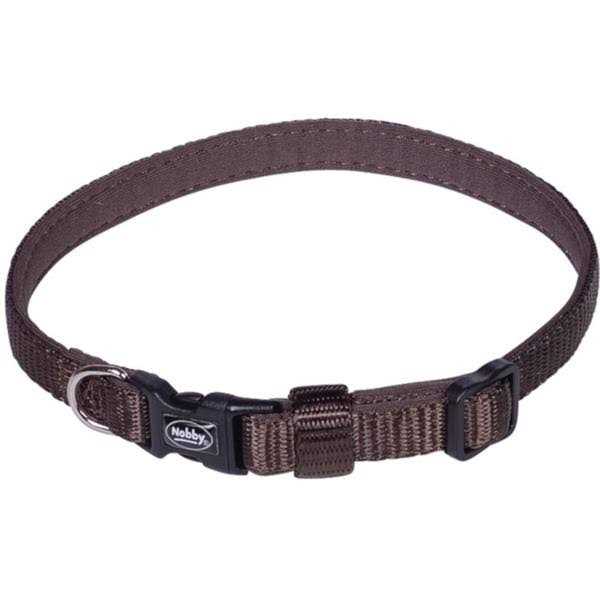 AminAvast Kidney Support for Dogs - Nail Gallerys