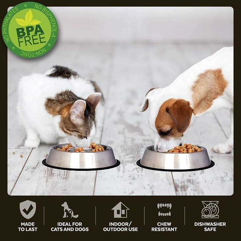 Iconic Pet Slow Feed Stainless Steel Pet Bowl - Nail Gallerys