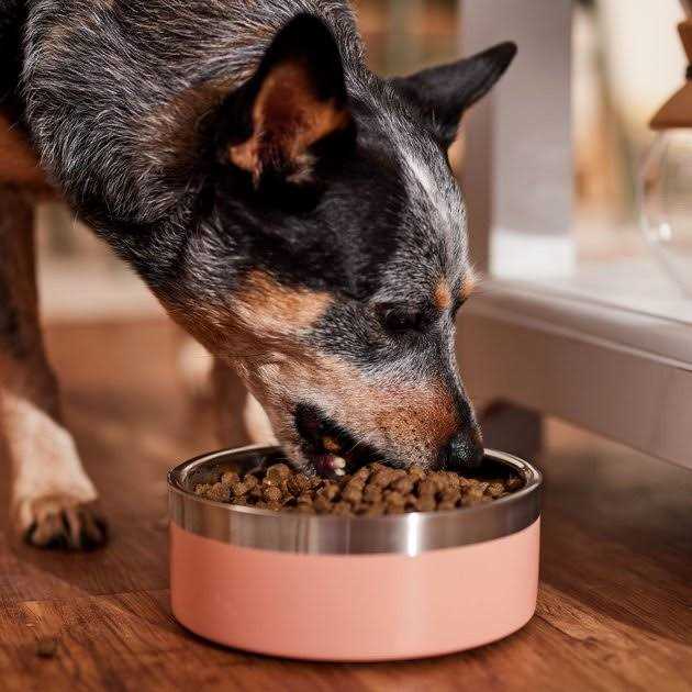 Country Vet Naturals Butcher Shop Blend Dog Food - Nail Gallerys