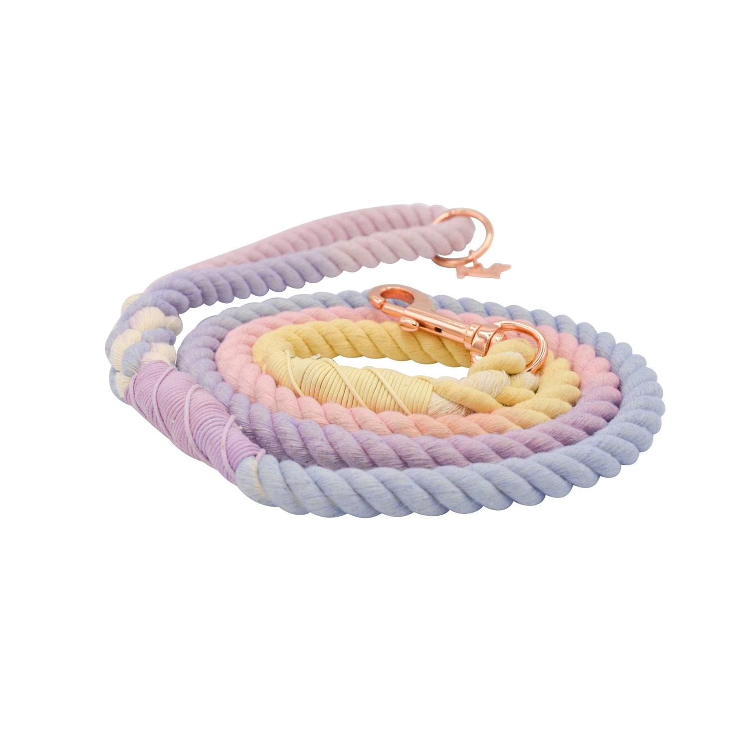 Dog Rope Leash Sassy Woof - Nail Gallerys