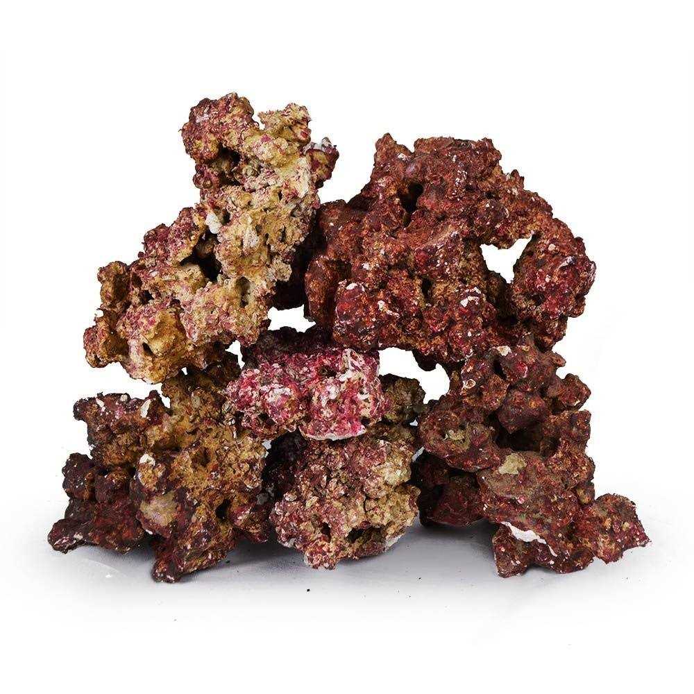 Real Reef Premium Live Rock for Saltwater Aquariums Mixed Sizes - Nail Gallerys