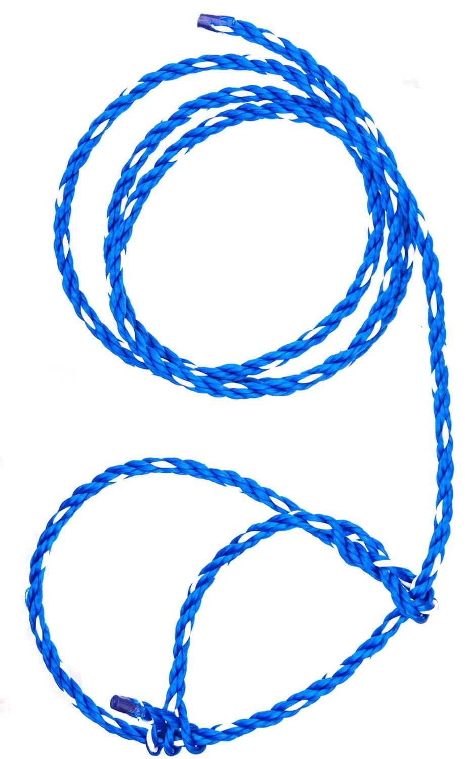 Troyer's Poly Calf Halter - Nail Gallerys