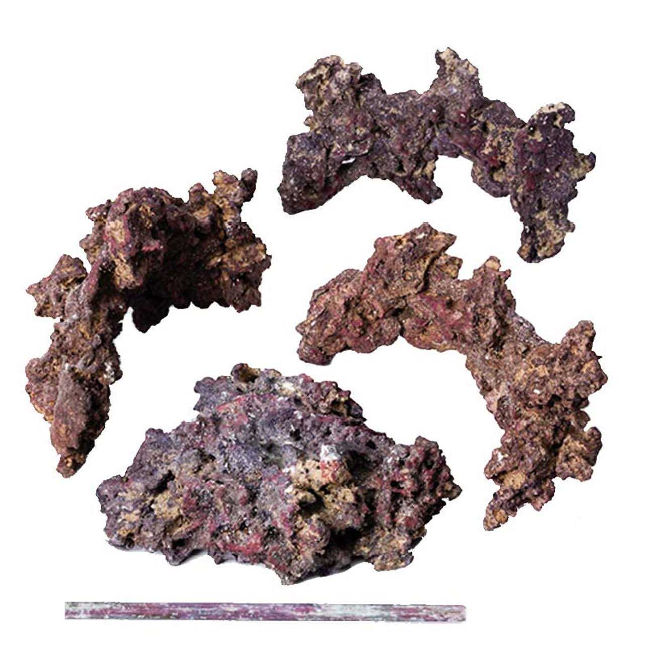 CaribSea LifeRock Reef Tree with Arches - Nail Gallerys