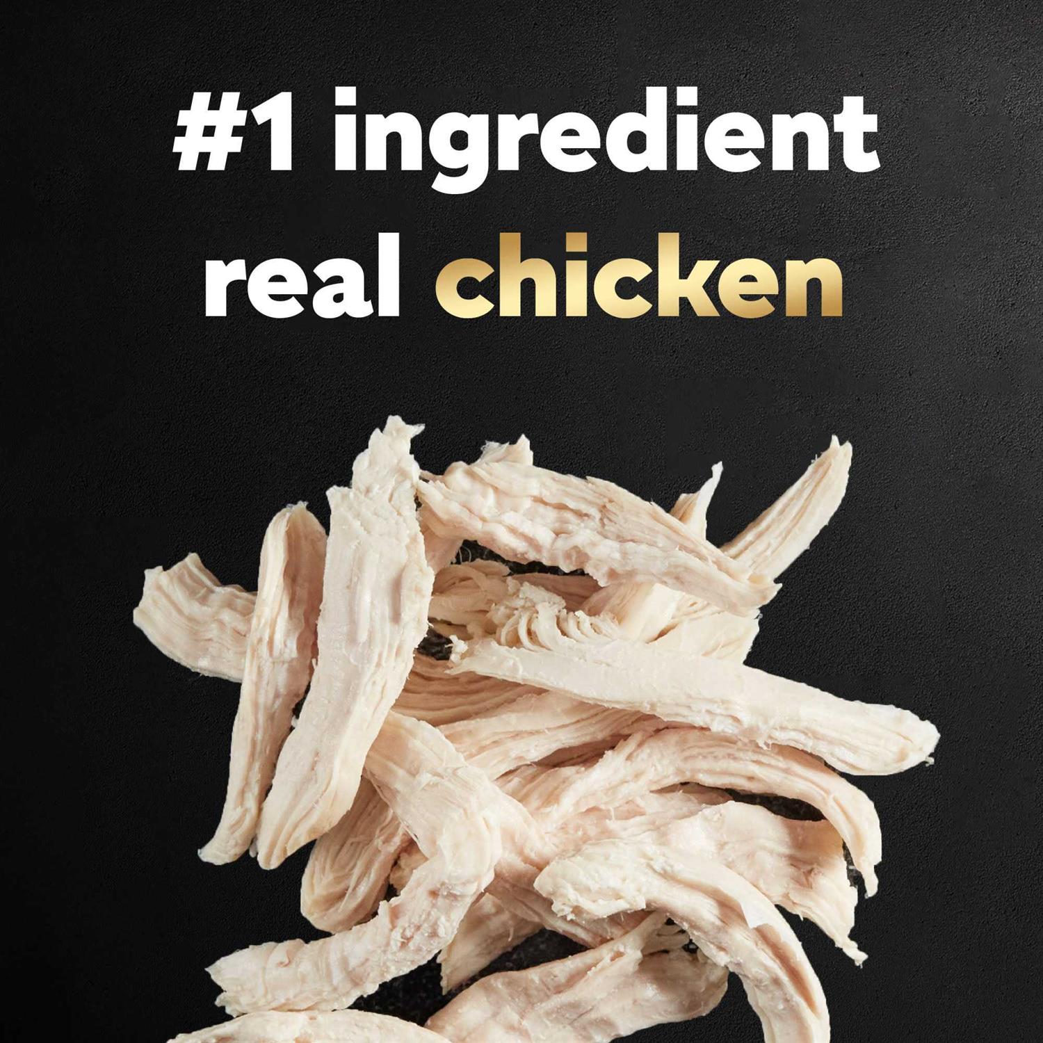 Cesar Simply Crafted Chicken Wet Dog Food - Nail Gallerys