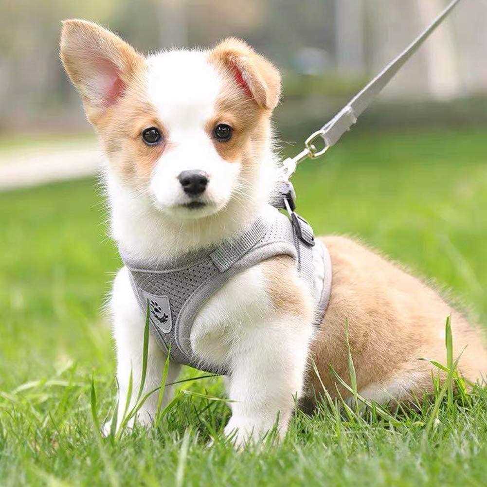 Feimax Dog Harness and Leash Set No-Pull Soft Mesh Vest Reflective Adjustable Pet Harnesses For Small - Nail Gallerys