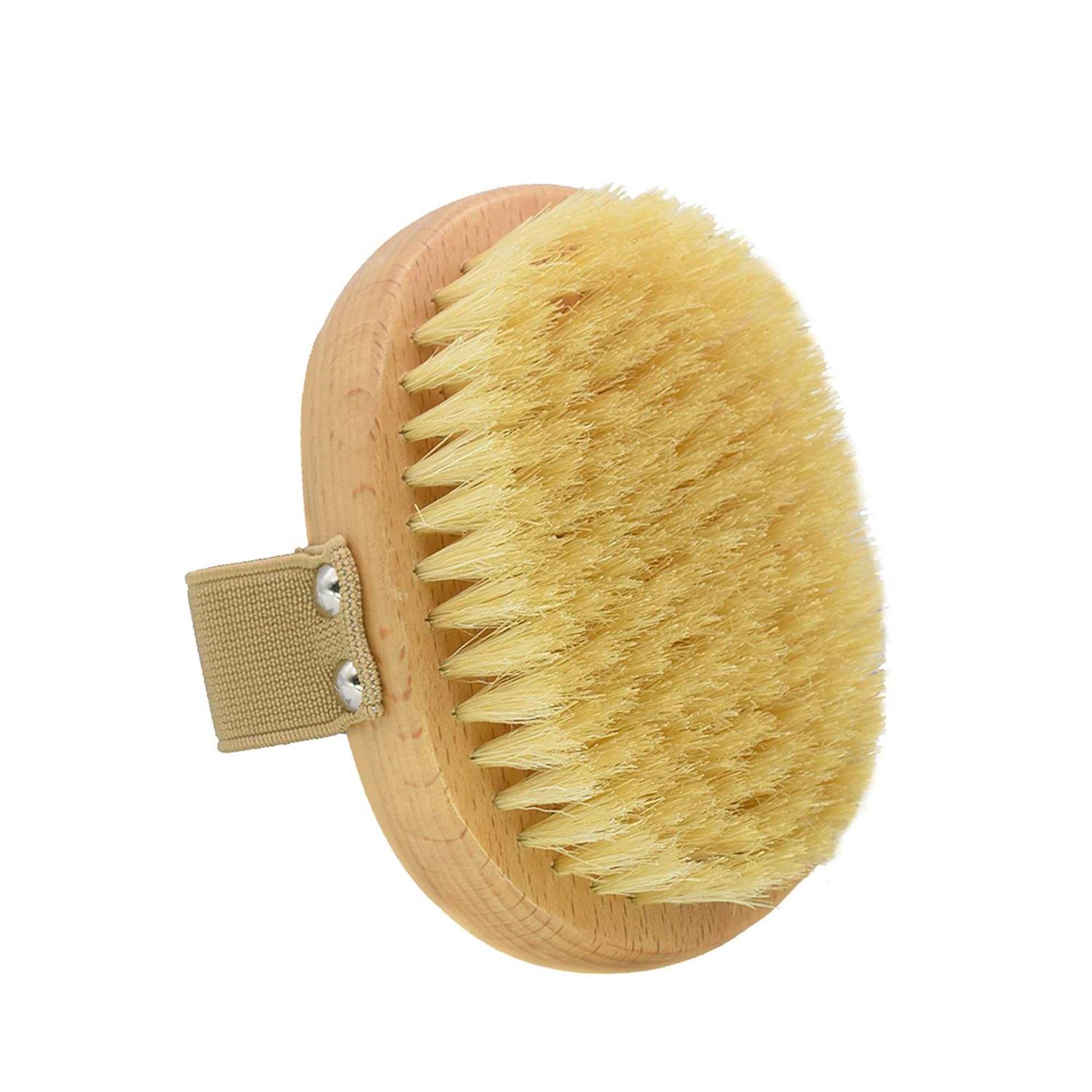 casidoxi soft bristle dog brush for short haired cats dogs with elastic band - Nail Gallerys