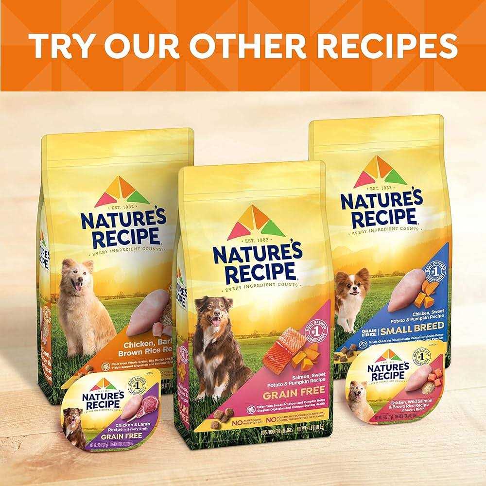 Nature’s Recipe Grain Free Chicken Dry Dog Food - Nail Gallerys