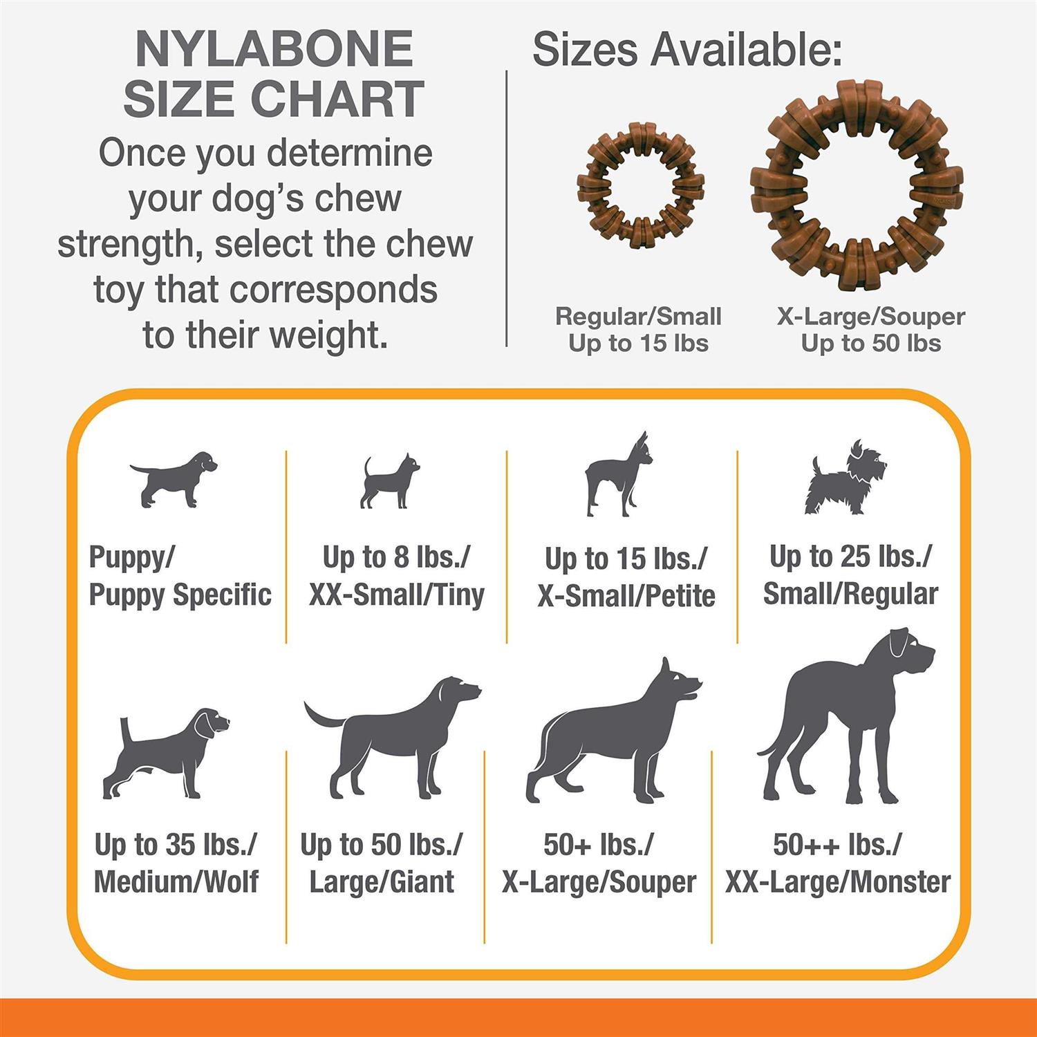 Nylabone Power Chew Customer Favorites Dog Chew Toy Bundle Customer Favorites Bundle Variety - Nail Gallerys