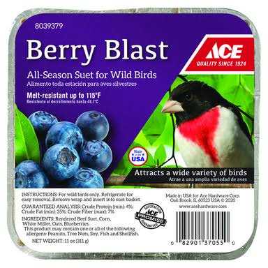 Ace Berry Blast Assorted Species beef Suet 11 oz - Nail Gallerys