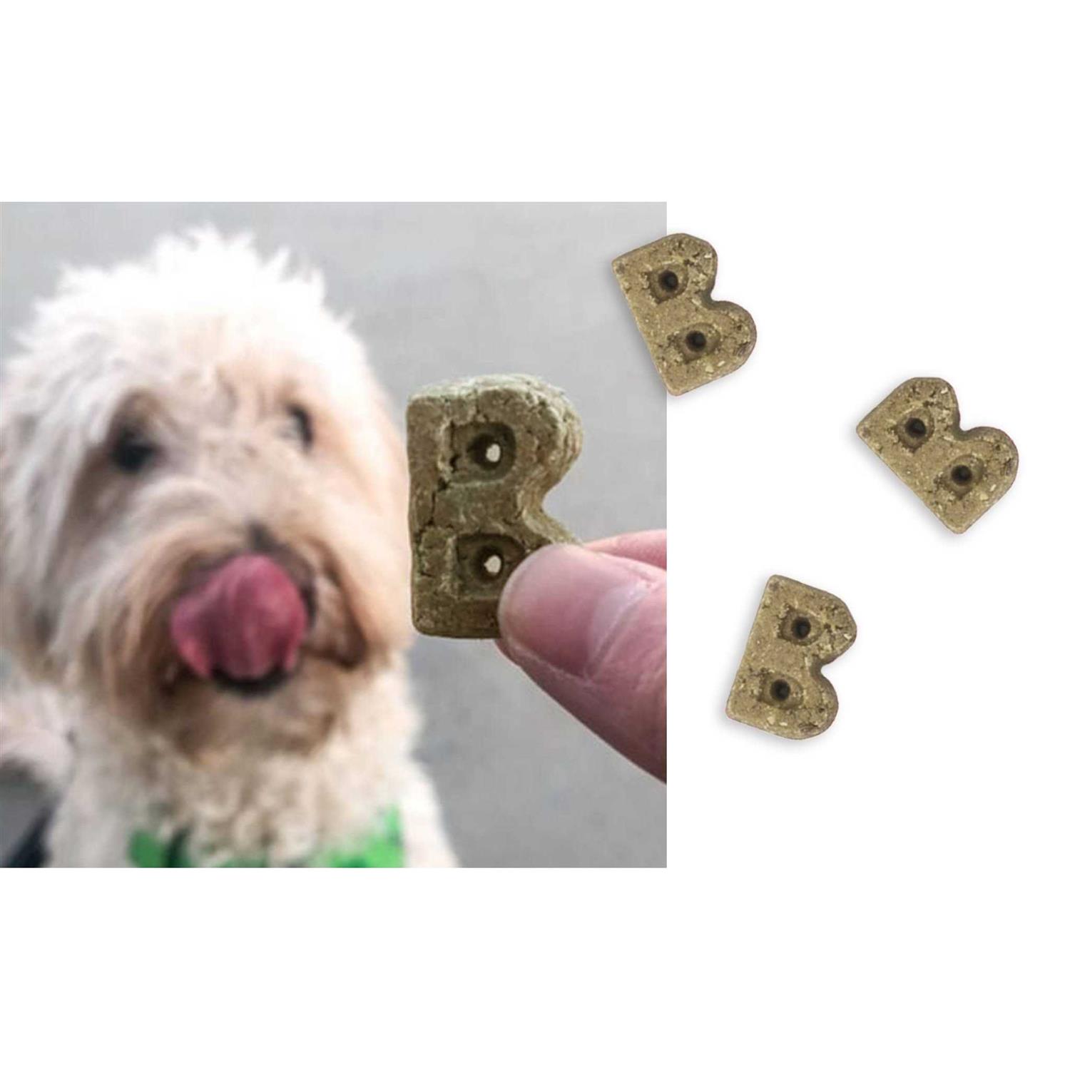 Bocce’s Bakery Brushy Bites Soft & Chewy Dog Treats - Nail Gallerys