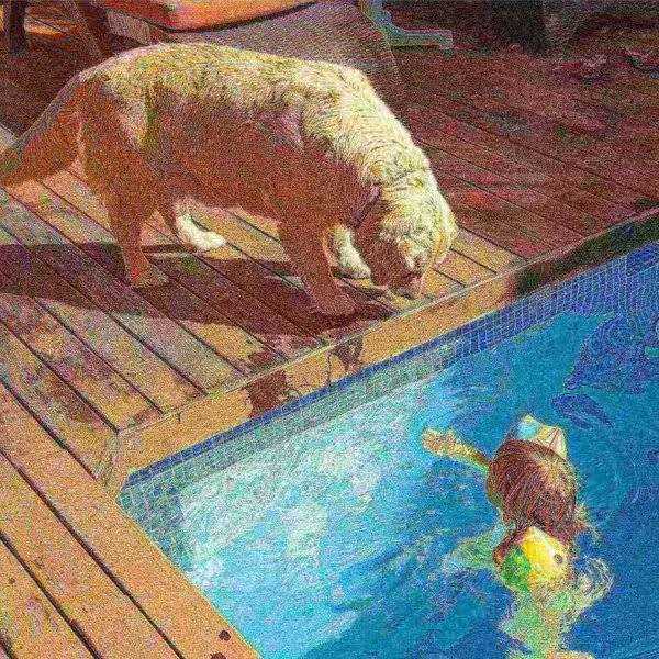 Pet Adobe Waterproof Indoor/Outdoor Memory Foam Pet Bed - Nail Gallerys