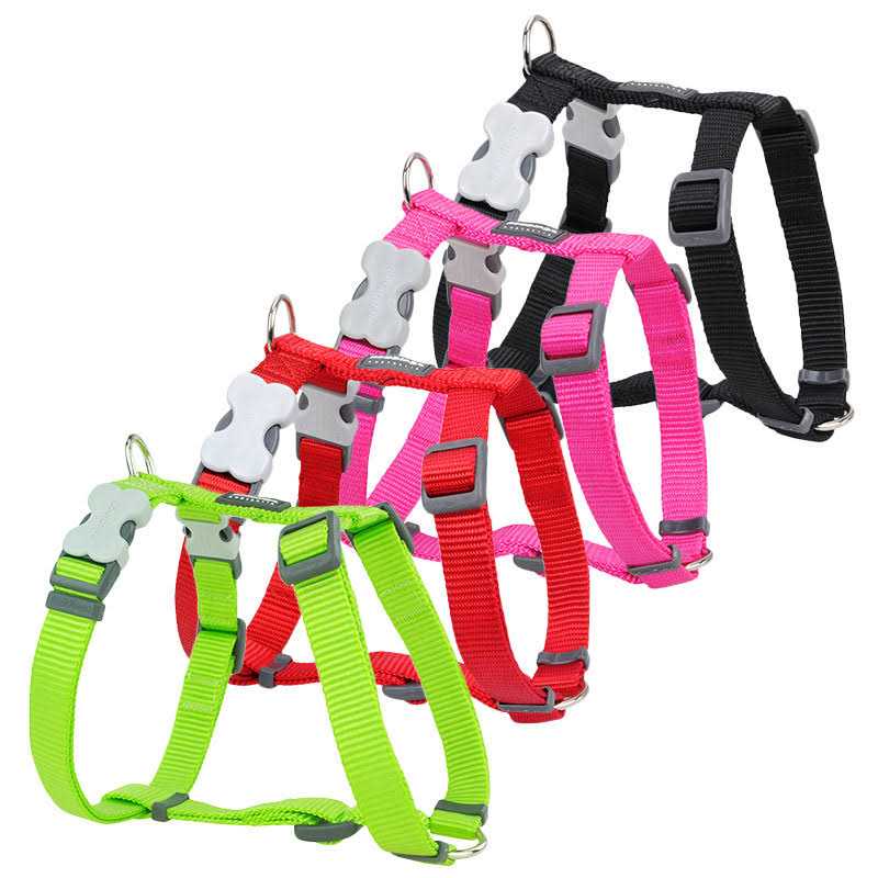 Red Dingo Dog Harness - Nail Gallerys