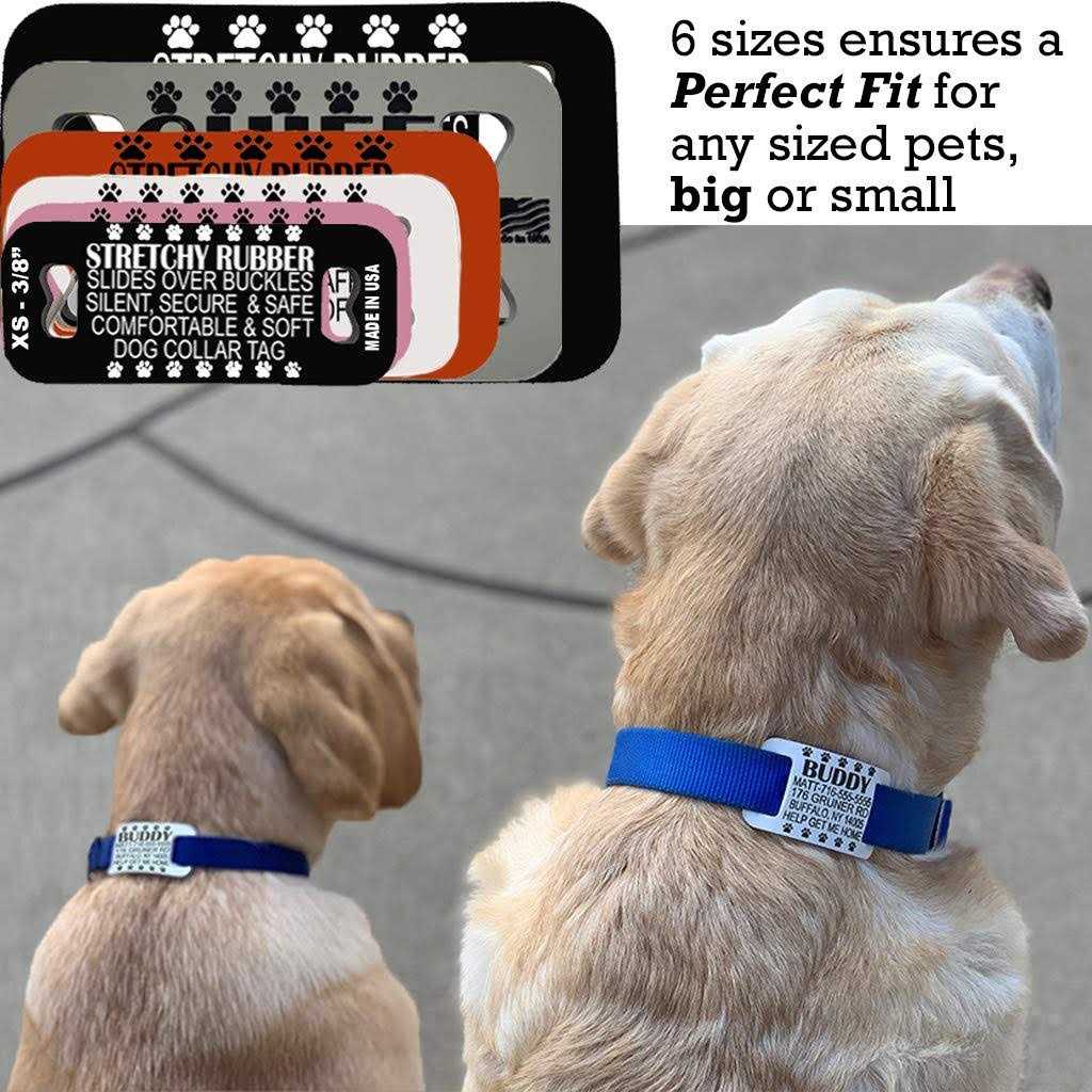 Dog Collar Tag Silent Slide On Pet ID Tags Premium Pet IDs Safe Silicone Rubber - Nail Gallerys