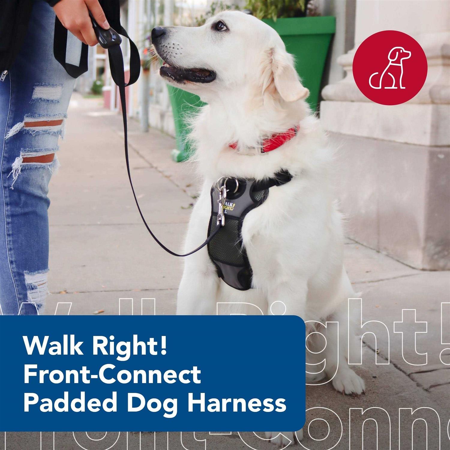 Coastal Pet Walk Right Padded Harness - Nail Gallerys