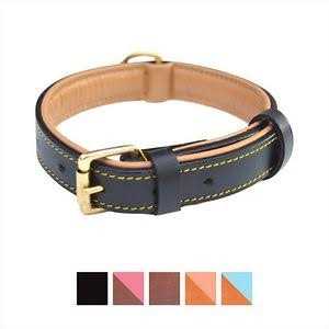 Soft Touch Collars Leather Dog Collar Padded - Nail Gallerys