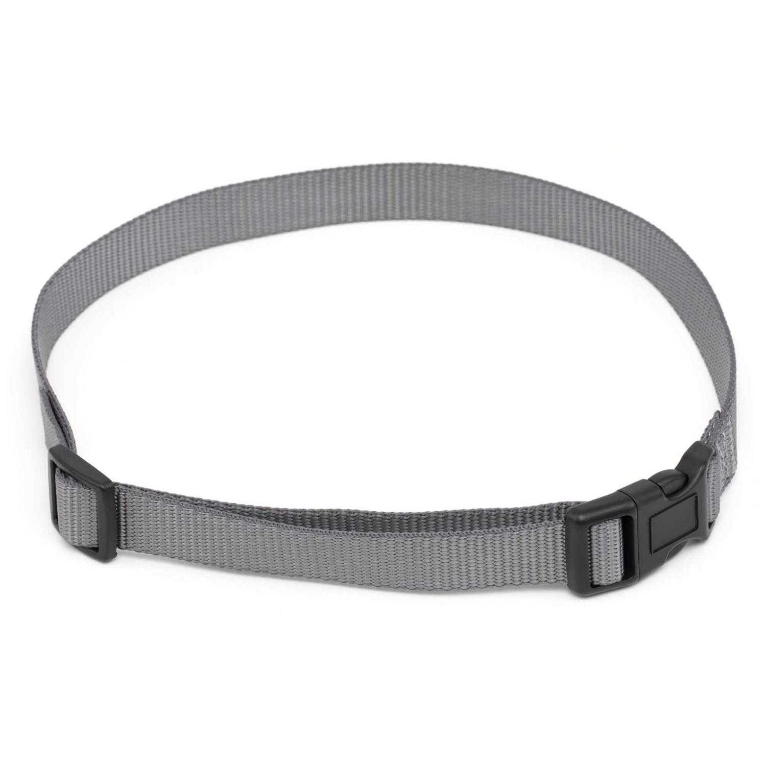 PetSafe 3/4 Replacement Collar Strap with no holes - Nail Gallerys